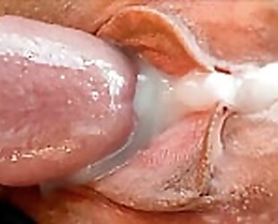 Schwanz  cums